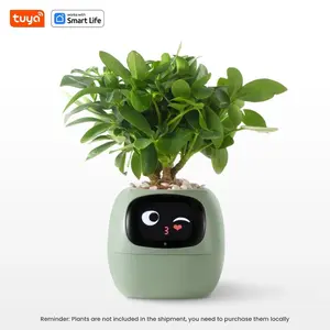 Elegant Tuya Ivy Smart Planter