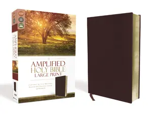 Amplified Holy Bible, Large Print, Bonded Leather, Burgundy: Captures the Full Meaning Behind the Original Greek and Hebrew by Zondervan [Leatherbound Book]
