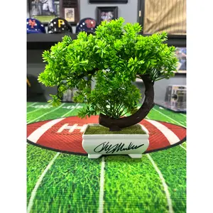Ralph Macchio " Daniel Larusso " Cobra Kai Bonsai Tree W/ COA PSA
