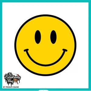 ProRate Equine Breakaway Flag Smiley Face - Durable Eye-Catching Rodeo Gear for Practice & Competition Function