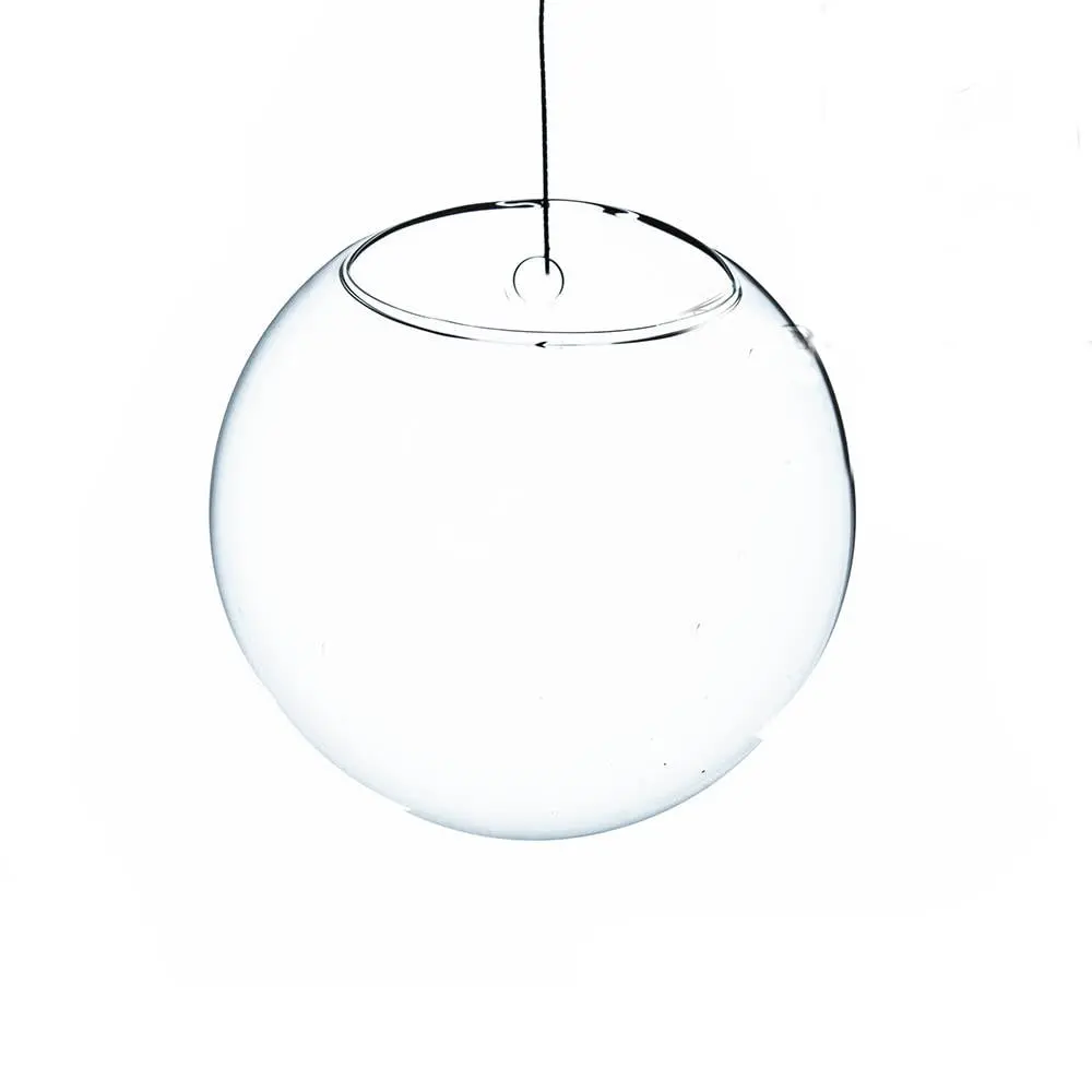 Athenas Garden HCH1107 7 in. Dia. Clear Half-Round Wall Hanging Terrarium & Vase