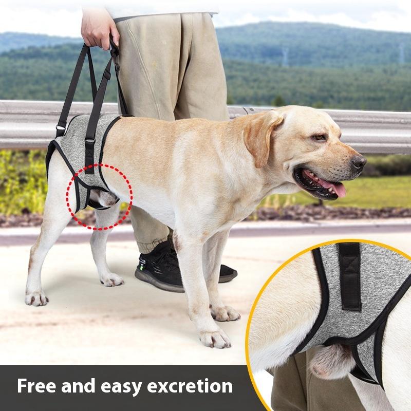 Senior Dog Rear Lift Strap, Back Leg Support Harness for Elderly Dogs Walking Stairs and Mobility Help Senior Dog Rear Lift Strap, Back Leg Support Harness for Elderly Dogs Walking Stairs and Mobility Help