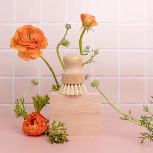 Dish and Vegetable Brush