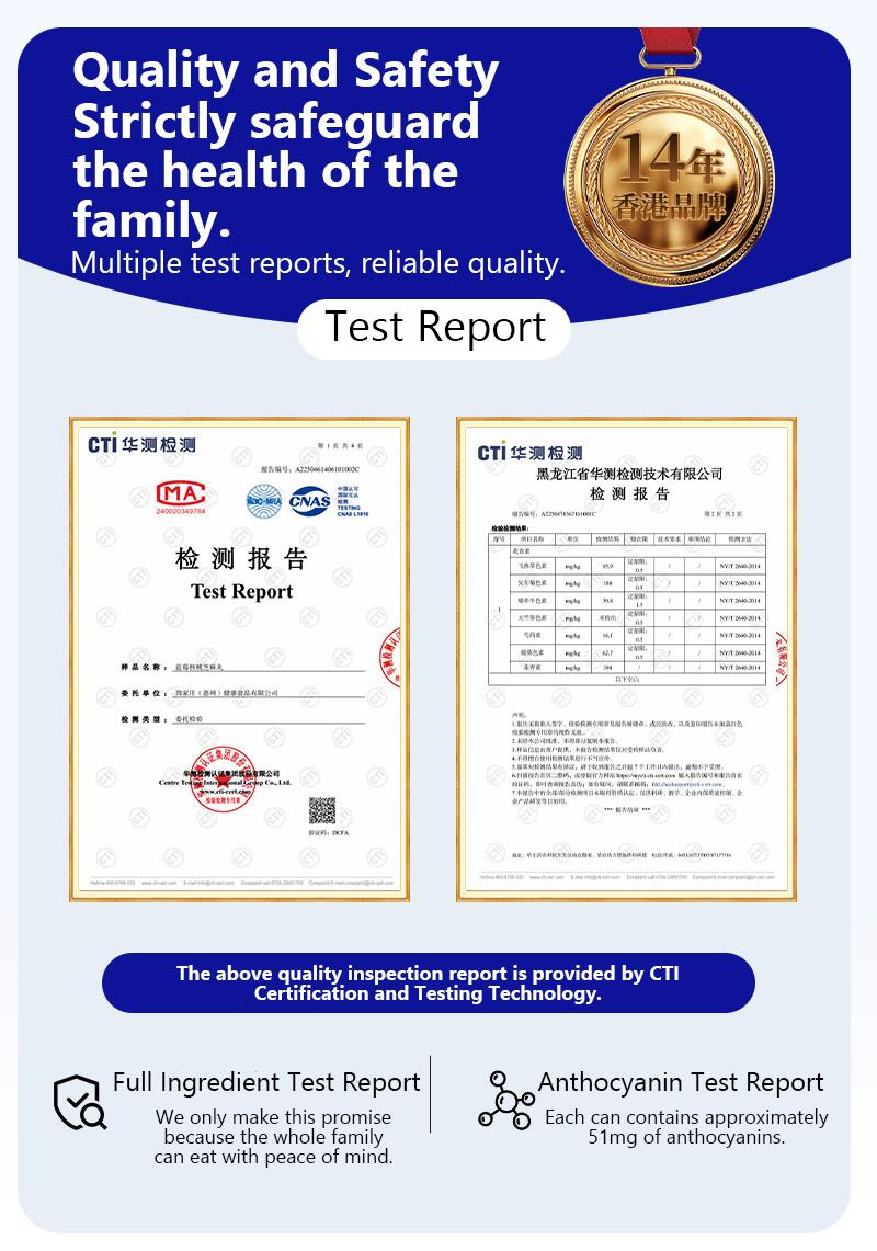 Blueberry Sesame Balls