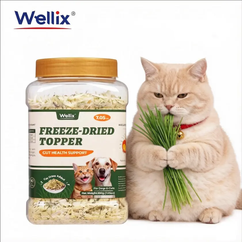 Best Treat for Your Pet! - With Chicken, Egg Yolk, Cranberry, Pumpkin and Cat Grass Supplements Best Treat for Your Pet! - With Chicken, Egg Yolk, Cranberry, Pumpkin and Cat Grass Supplements