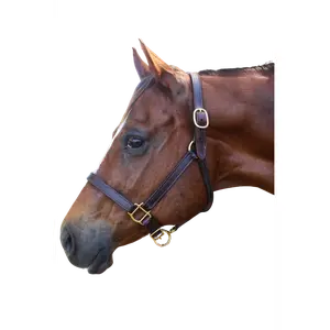 TS Leather Turn Out Halter Adjustable Chin