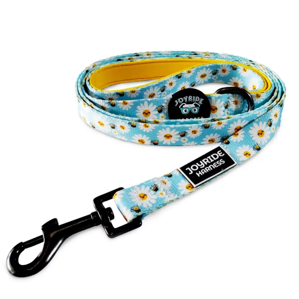 Dog Leashes (Patterns) Dog Leashes (Patterns)