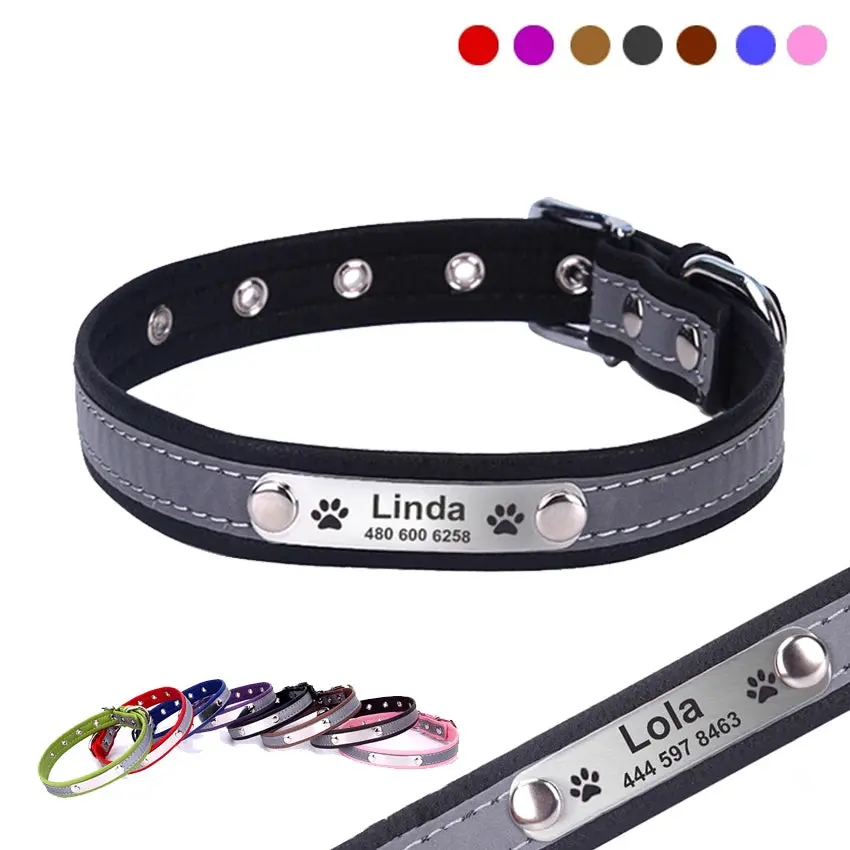 Personalized Pet Collar