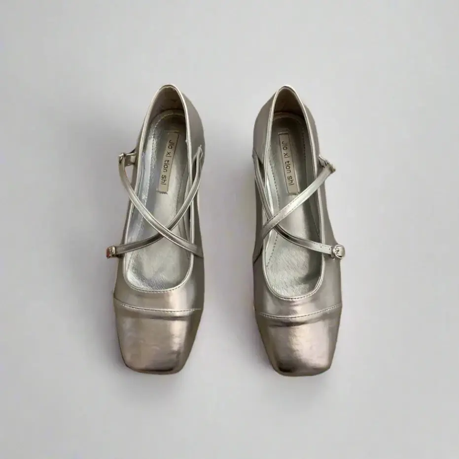 Danielle Ballet Flats- silver