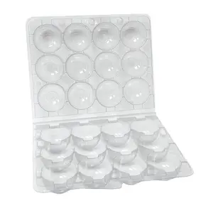 12-Egg Carton (Quail) - Clear Plastic - Clear Carton Specifically Designed for 12 Quail Eggs