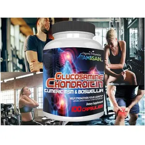 Glucosamine Chondroitin Turmeric MSM Triple Strength Joint Support 3000mg 100 c