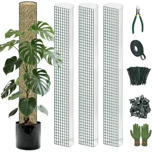 Metal Moss Poles for Climbing , D-Shape Sphagnum Moss Pole Monstera  Support for Climbing , DIY  Stakes Work with Sphagnum Moss (12ft D-Shaped Clear)