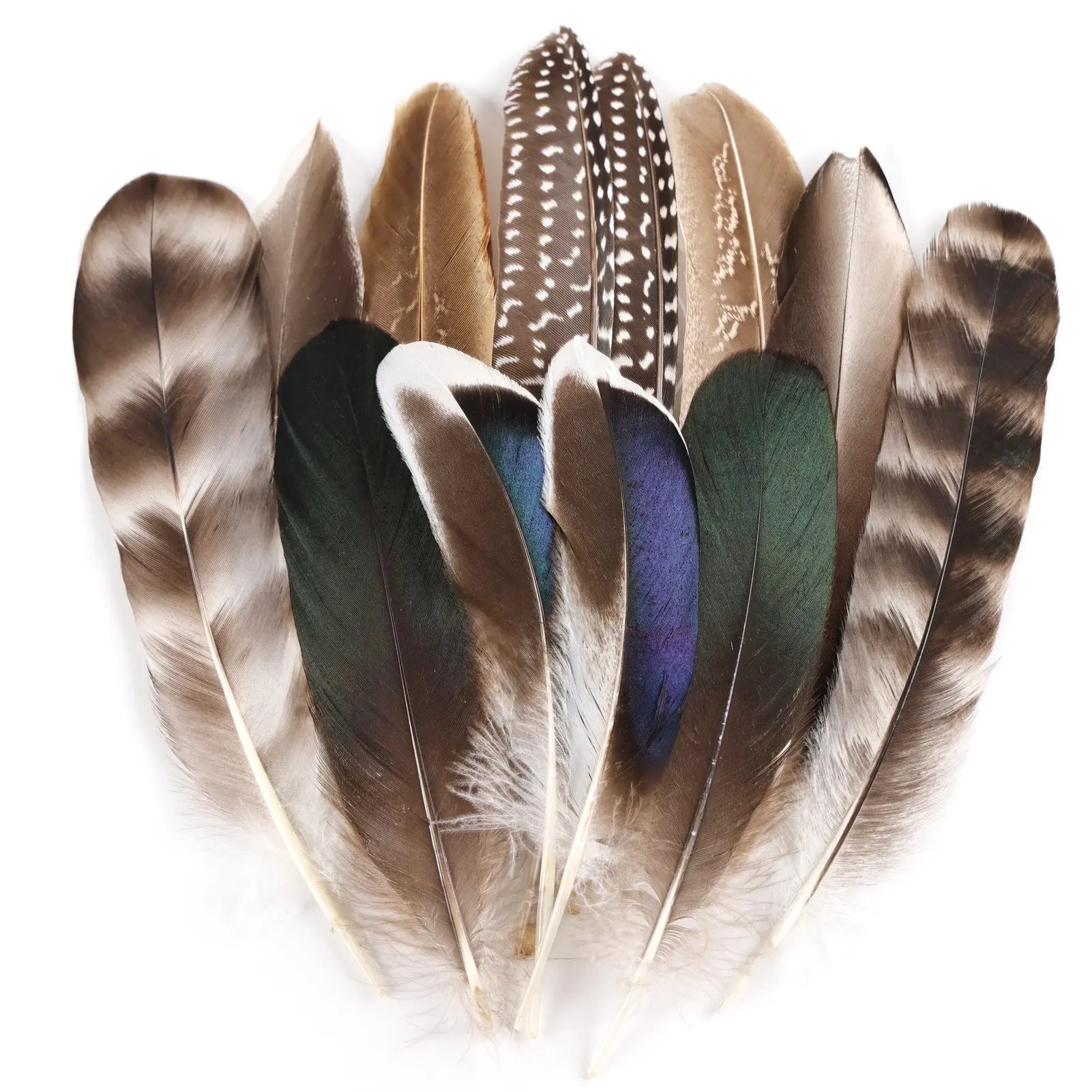 6-8in Natural Wild Bird Feather Bundle  Perfect for Carnival/Birthday/Business Bonfire Parties + Feather Headpieces!