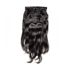 Thee Silk Press (Seamless Clip Ins)