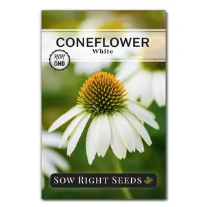 White Coneflower Seeds
