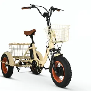 Easy Transit 750W Fat Tire Electric Trike