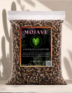 Mojave — Desert Grit Mix for Cacti & Succulents | Ultra-Fast Draining Soilless Blend