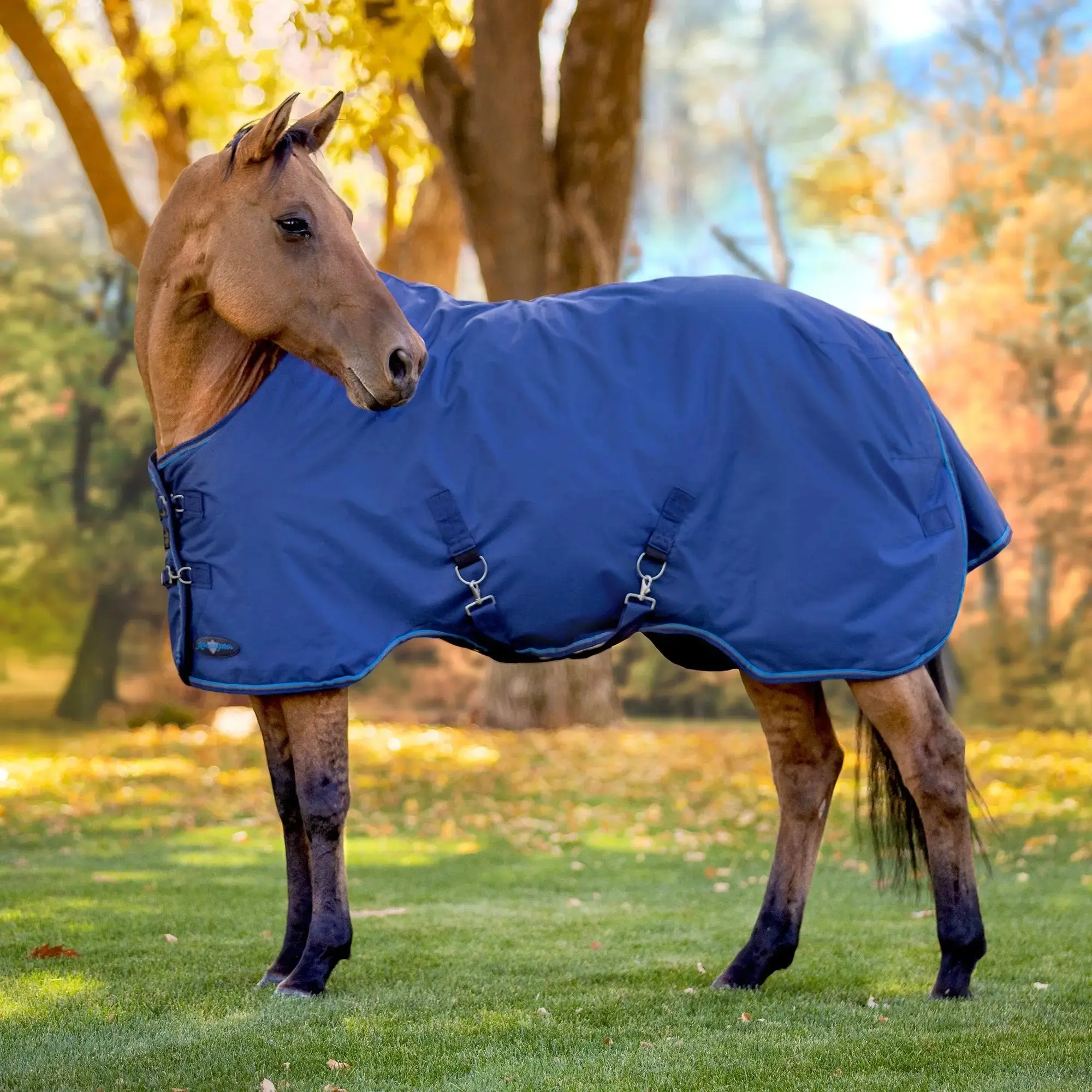 1200D Lightweight 80g Horse Winter Turnout Blanket - Waterproof & Breathable