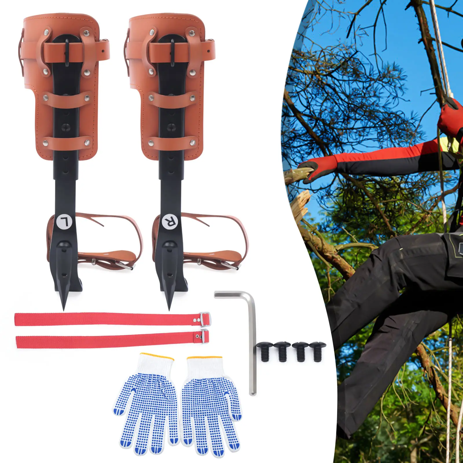 Carbon Steel Tree Climbing Spikes Set - Forged Plate Pole Climbing Spurs with Cowhide Straps (63cm Length, Adjustable Height), 6.17lbs Durable Climber Gaffs, 100kg/220lbs Load-Bearing Capacity for Tree Felling, Fruit Picking, Comfortable Elastic Foam Padd