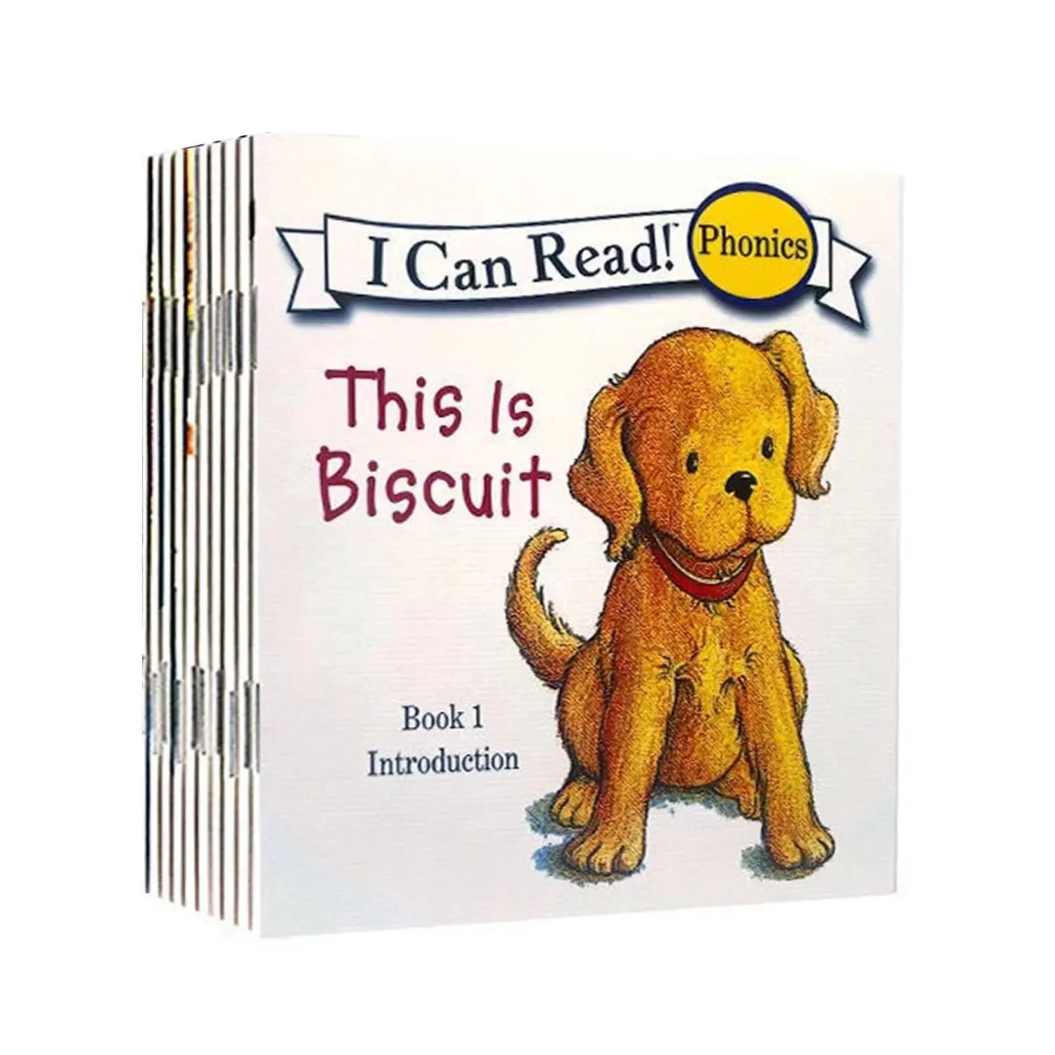 Biscuit First Edition Natural Reading Picture Book Set, Includes Long & Short Vowels, Basic Grammar, English Reading Practice, Home Learning, Paper Book, School Supplies, Homeschool Supplies, Preschool Learning Materials