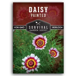 Survival Garden Seeds Painted Daisy Seeds - Chrysanthemum Carinatum Perennial Wildflower for Your Garden - Non-GMO Heirloom Pollinator Friendly 750MG