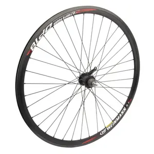 WHEEL MASTER WHL Rear 700 622x12 WEI DP18 BK NMSW 36 SHI CB BK 110mm DTI2.0BK w/TRIM KIT