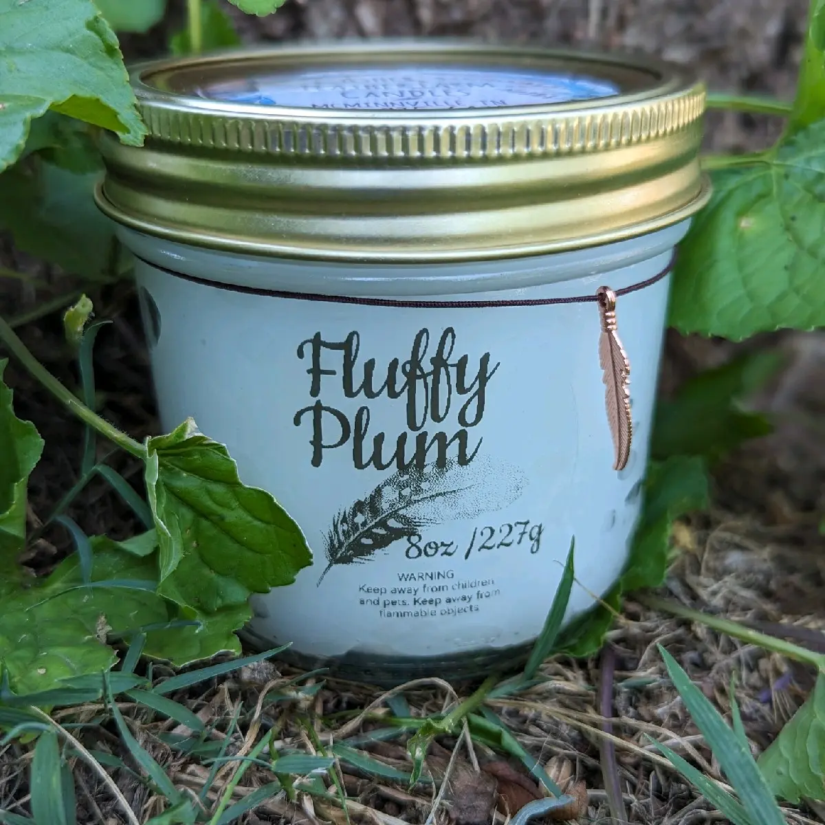 Fluffy Plum paraffin candle
