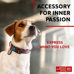 Adjustable Nylon Dog Collar with QR Tag for small