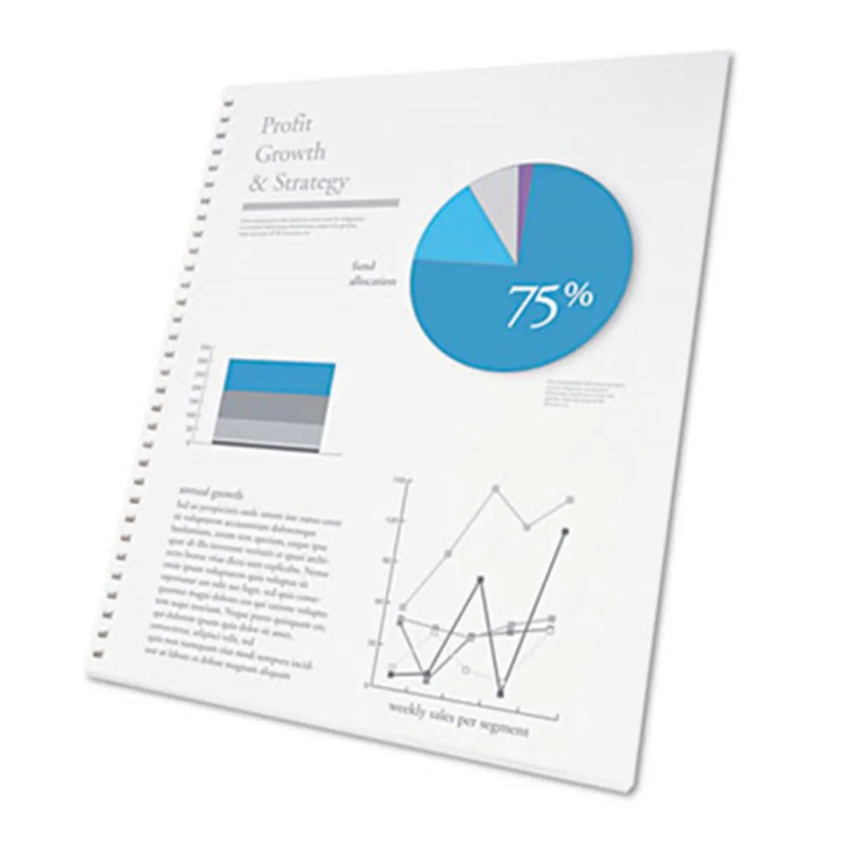 Swingline 2514479 ProClick Presentation Binding Aid - 8.5x11 Standard Size, 24 lb, 96 Bright Paper, Prepunched, Copier-Ready, White, 250-Sheet Capacity, Fast & Easy for Preparing Presentations