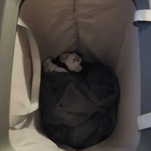 review image 9