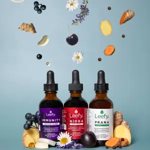Leefy Organics Wellness Bundle PRANA NIDRA IMMUNITY Liquid Drops with Organic Turmeric Ginger Tart Cherry Chamomile for Inflammation Sleep Recovery & Immune Support Fast Absorbing Plant-Based 59ml Each - Dietary, Healthcare
