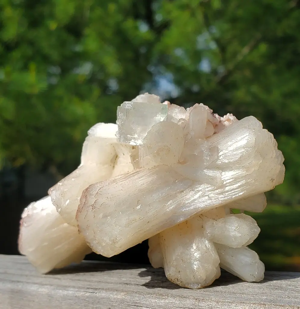 Superb Stilbite with Apophyllite Cluster – Ap19