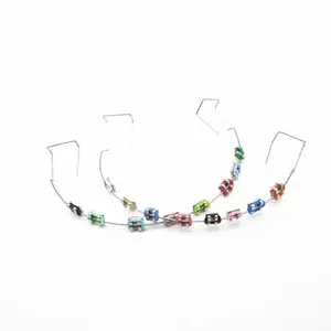 1 pair Colorful Temporary Tooth Decoration with Metal Wires Dental Decorations Orthodontic Ligature Ties Braces Fake Brackets