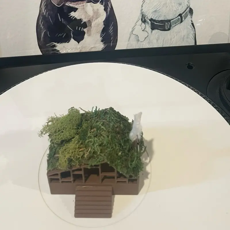 Mini cabin Turntable Spinner.  Spinning cabin for Vinyl Players!