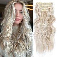 20inch Dark Ash Blonde Mixed Bleach Blonde Clip Ex