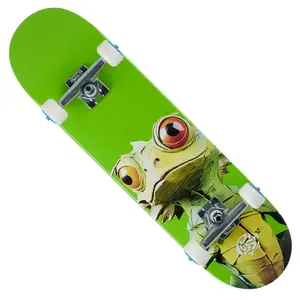 Push Lizard Big Lime First Push Complete Skateboard