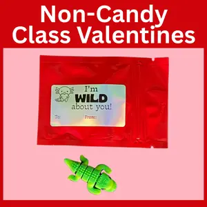 Kids Classroom Valentines with Mini 3D Printed Articulated Critter Toys, Pack of 10 | Tiny Animals
