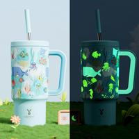 Noctilucent marine animals