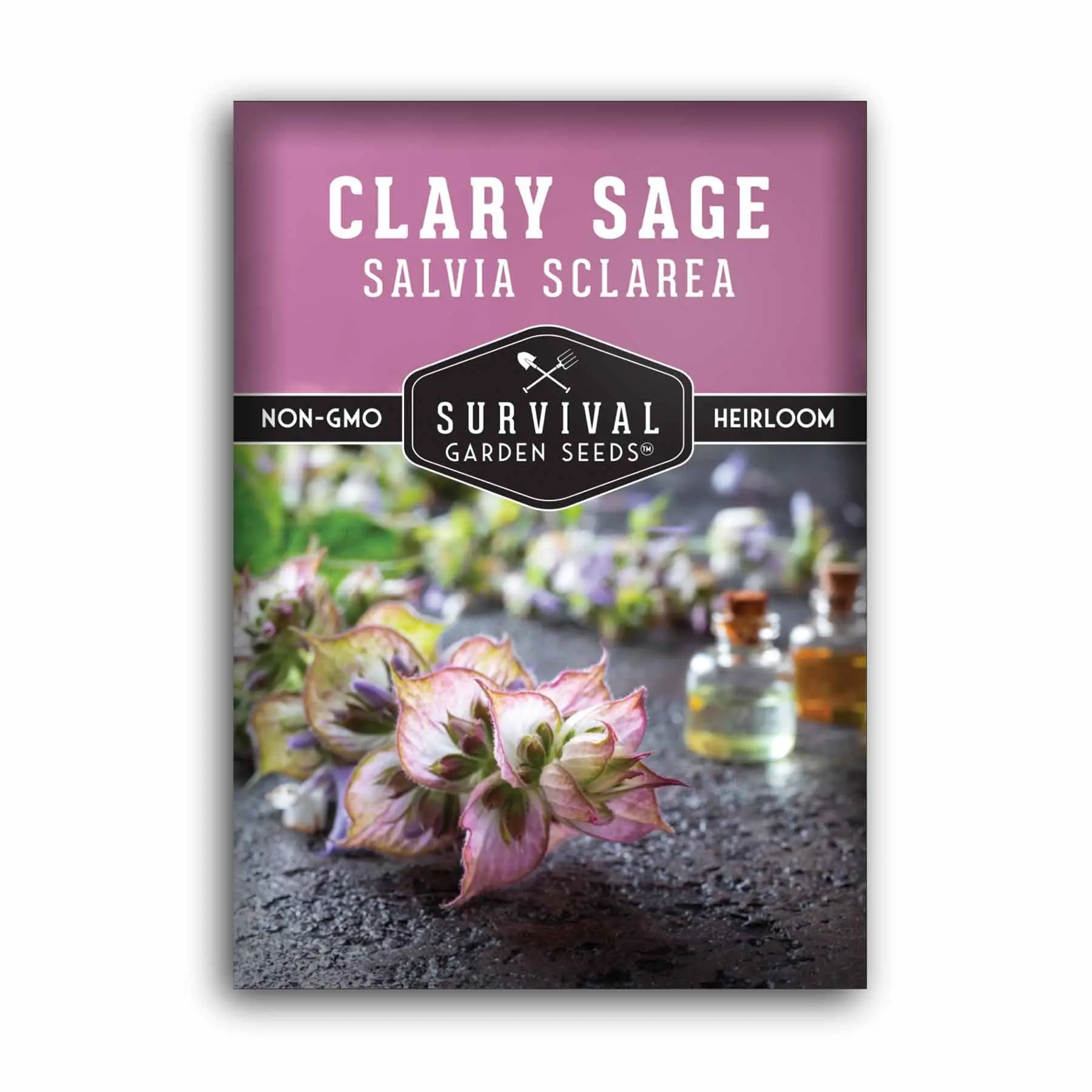 Clary Sage Seeds - Salvia Sclarea