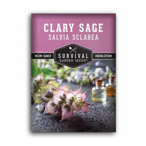 Clary Sage Seeds - Salvia Sclarea