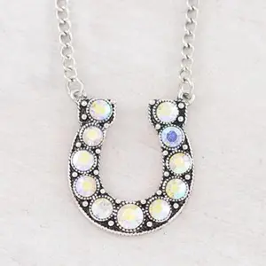 Western Style Horseshoe Necklace with AB Stone Pendant - 18 Inch Chain, Secure Lobster Claw Closure, Metal Coating, Versatile Jewelry for Daily Wear