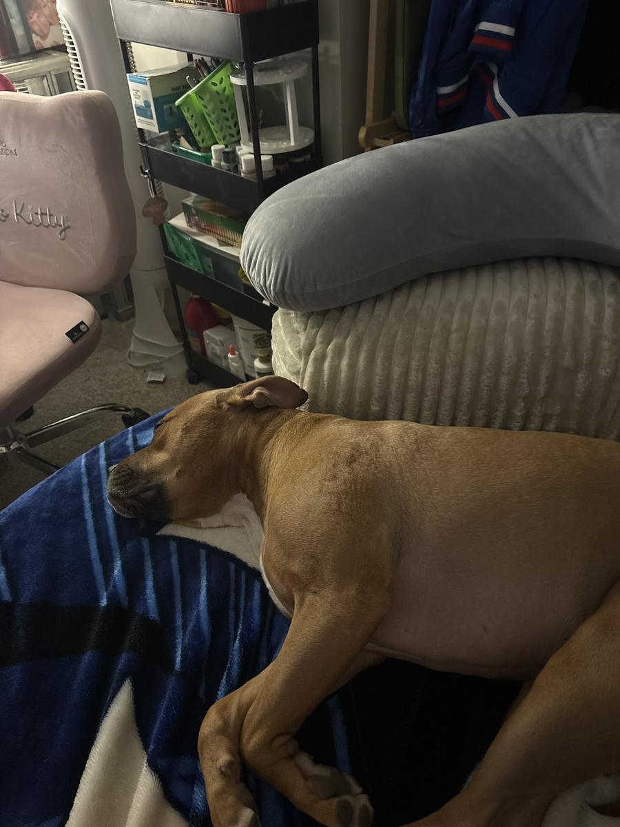 Item: Beige Plush Corduroy