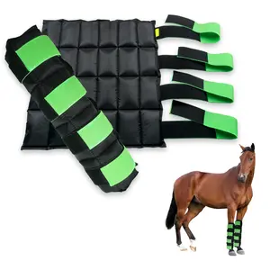 WORLD-BIO Horse Leg Ice Packs Cooling Wrap for Horse Injuries, Set of 2 Professional Cold Therapy Pack with Flexible Straps for Hock, Ankle, Knee, Ice Boots Horse Wrap 16.9'' x 16.1'', Black & Green
