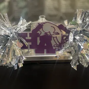 Custom Cheer spirit stick! School name, colors, athletics, football basketball soccer cheer track lacrosse field hockey ice hockey baseball softball biggest fan