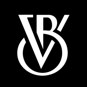 BIG VISION. shop logo