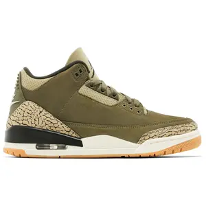 Air Jordan 3 Retro 'Family Affair' fashion sneaker