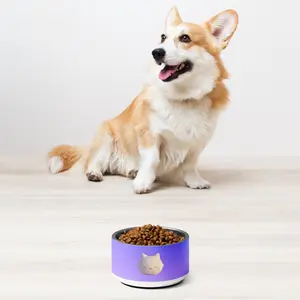CalmCaressASMR Pet Bowl