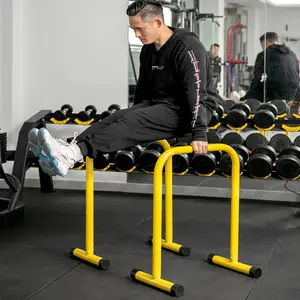 Gym Movable Single Parallel Bars for Calisthenics