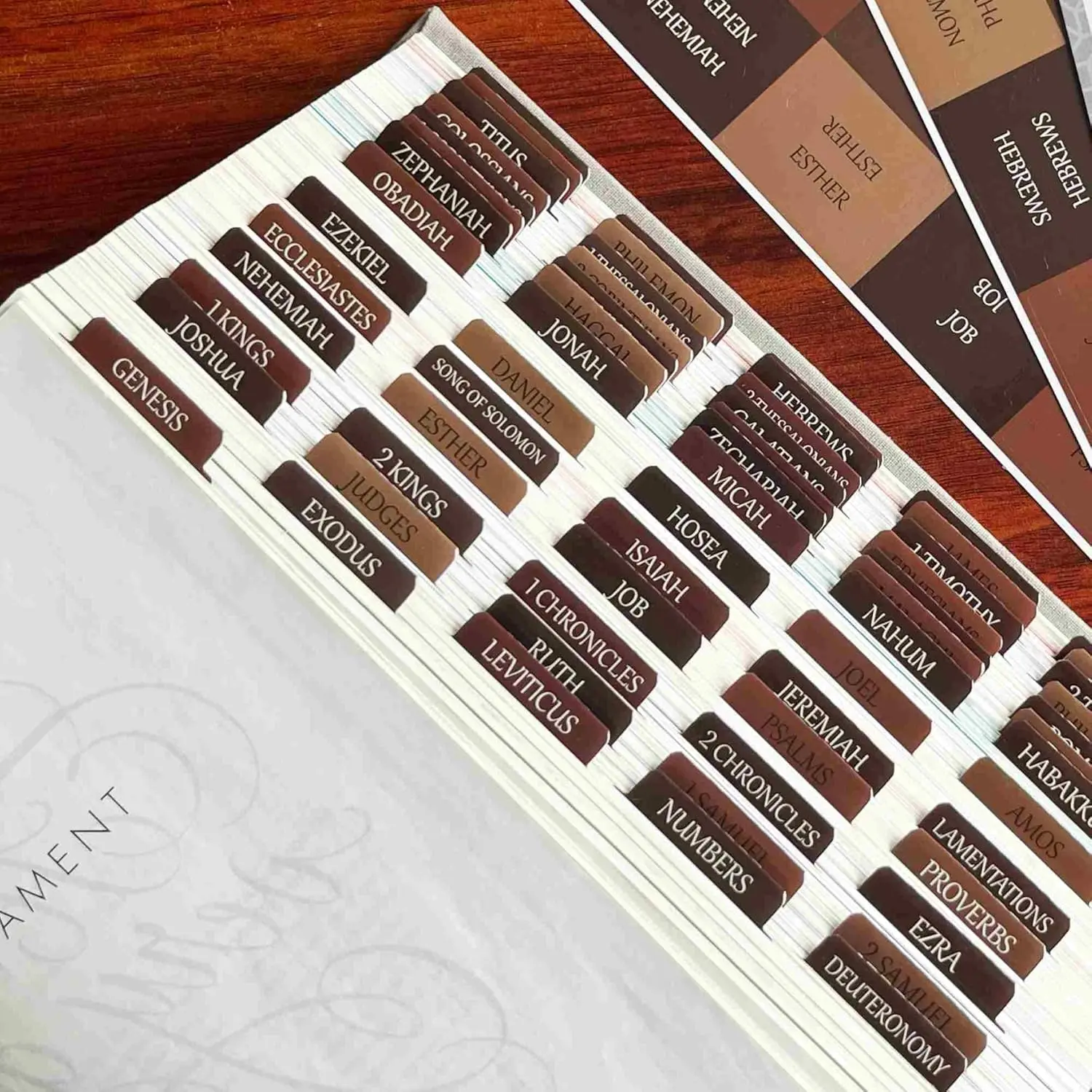Reposition Laminated Bible Tabs, Large Print Stickers, Easy to Read & Apply Bible Tabs for Women & Man (Earthy Brown) thinkor