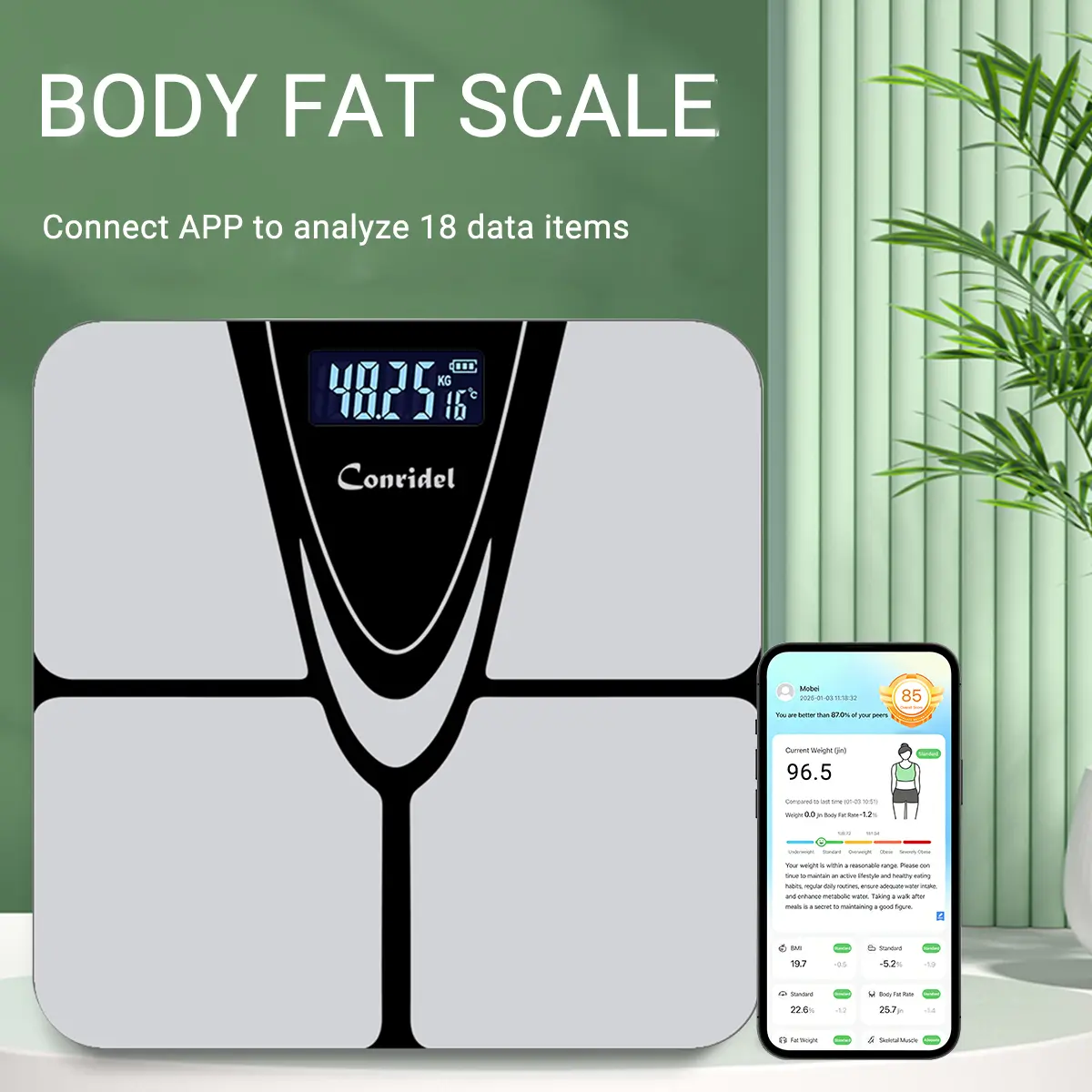 Bluetooth Body Composition Scale - Smart Digital Scale for Weight BMI ...